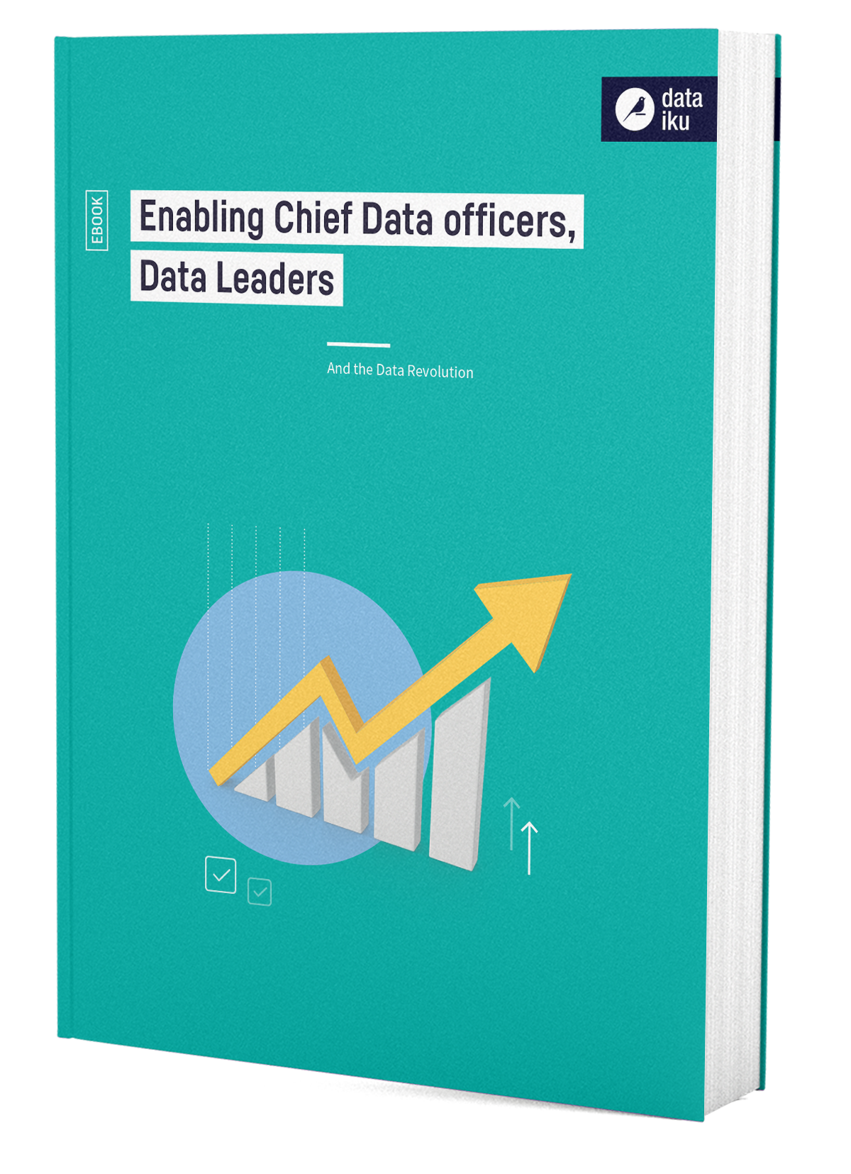 3D Cover Enabling Chief Data Officers CDOs