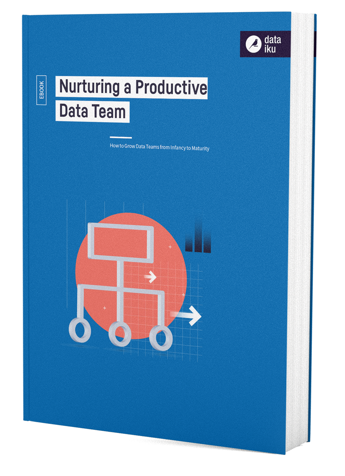 3D Cover Nurturing a Productive Data Team
