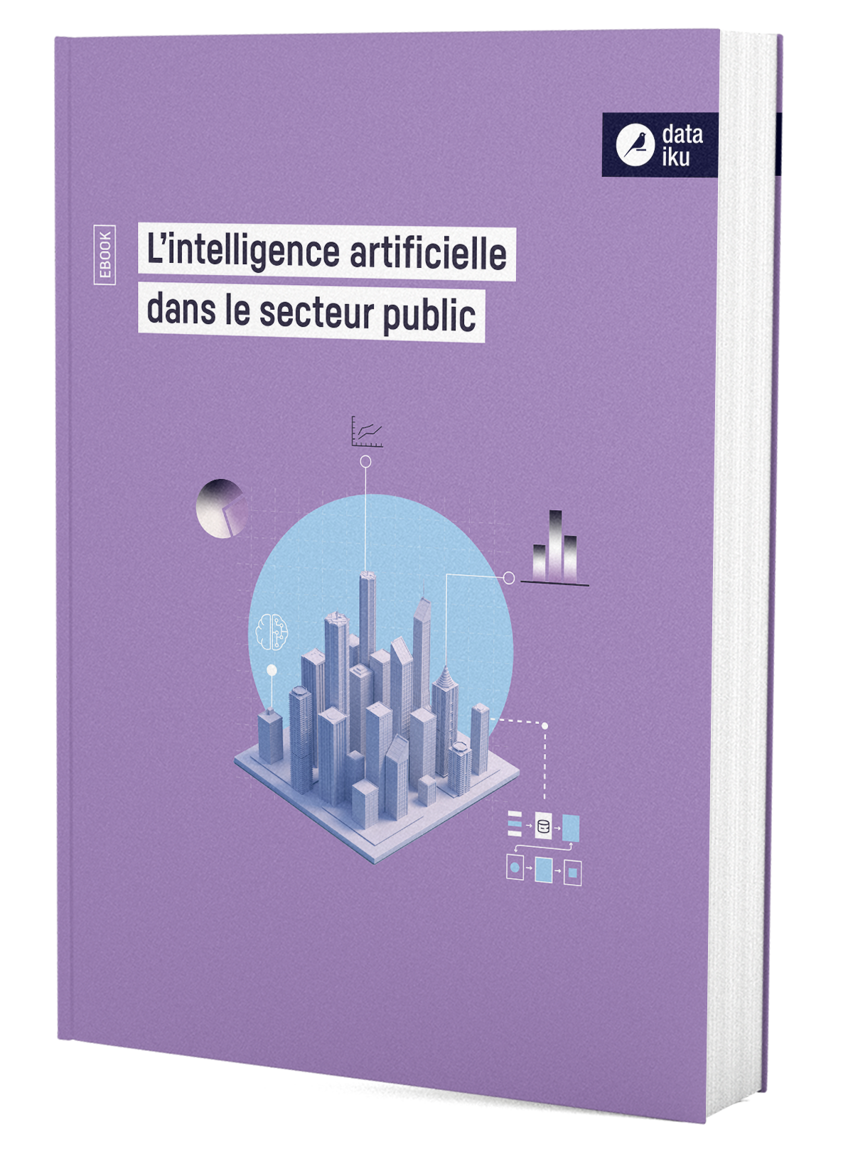 AI_in_the_Public_Sector_FR