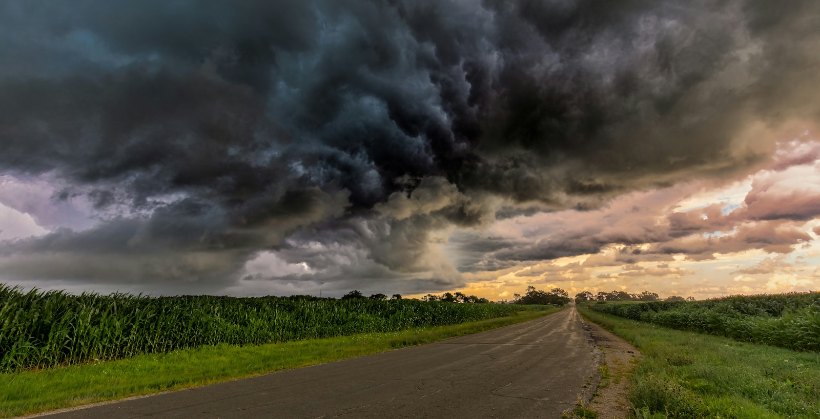 Navigating the Tariff Storm: Supply Chain Resilience With AI